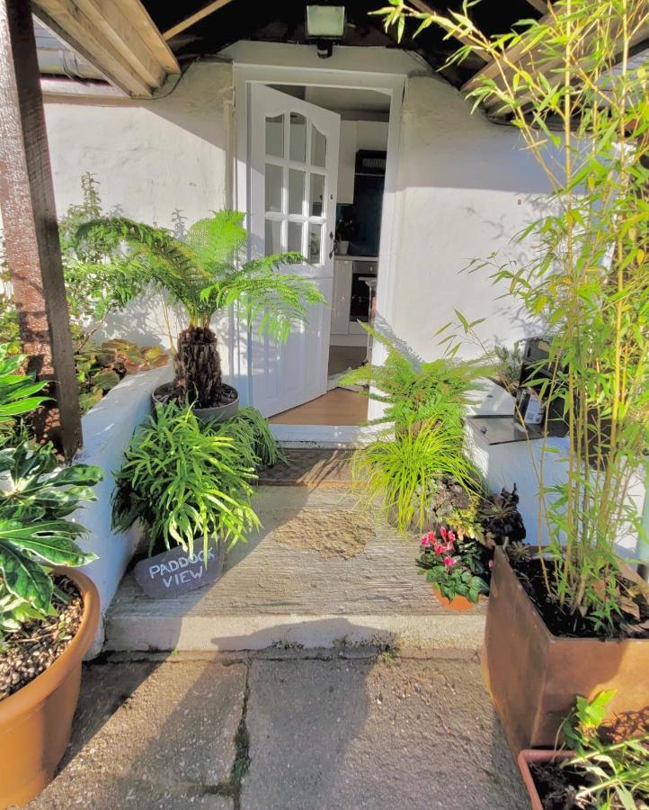 Idyllic Cornish Cottage, Superking Bed, Private Garden Dogs Welcome Truro Bagian luar foto