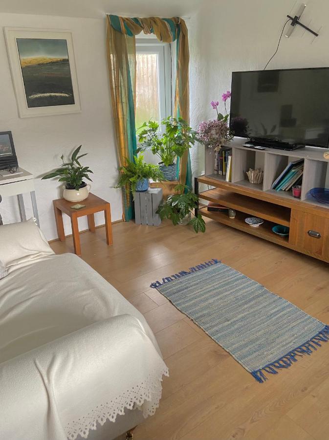 Idyllic Cornish Cottage, Superking Bed, Private Garden Dogs Welcome Truro Bagian luar foto