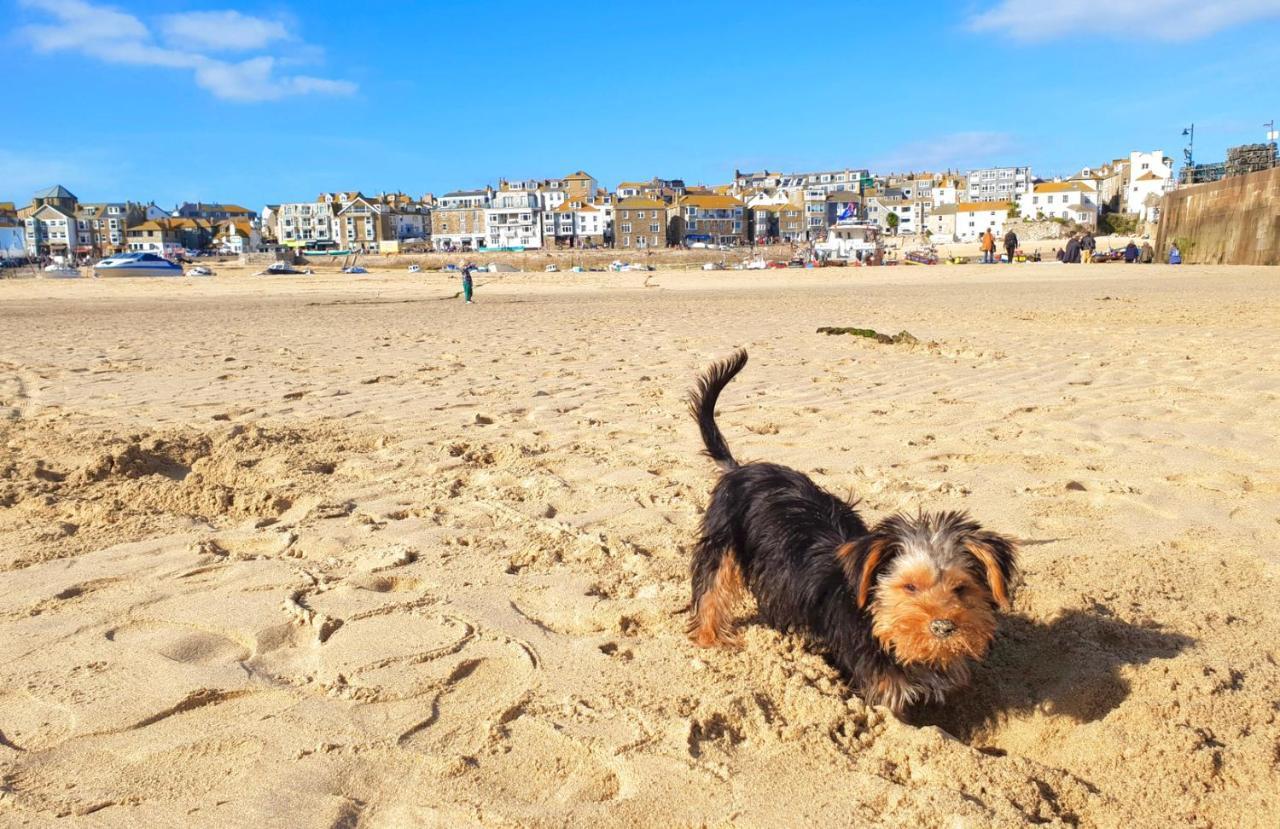 Idyllic Cornish Cottage, Superking Bed, Private Garden Dogs Welcome Truro Bagian luar foto