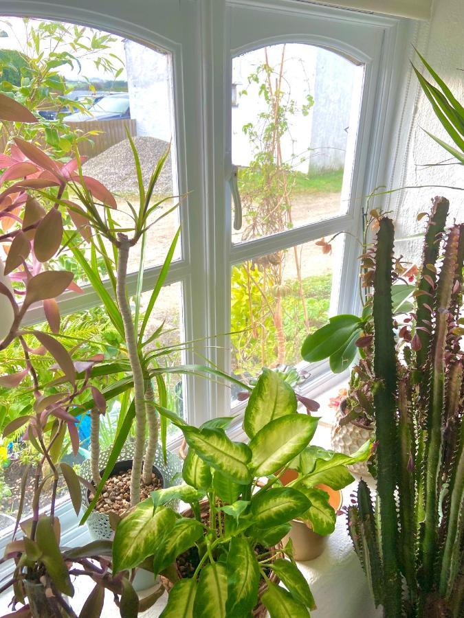 Idyllic Cornish Cottage, Superking Bed, Private Garden Dogs Welcome Truro Bagian luar foto